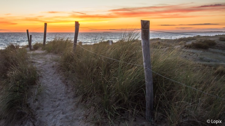 (20170812)_Carnac_0053(R)-1