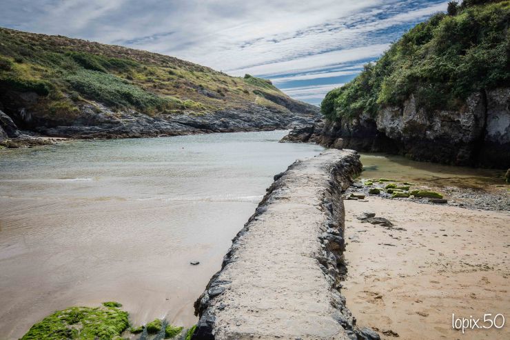 (20200710)_Belle_Ile_En_Mer_0328