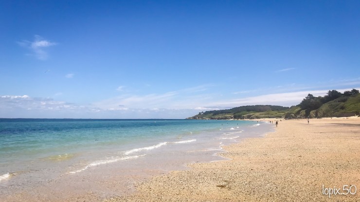 (20200710)_Belle_Ile_En_Mer_0523