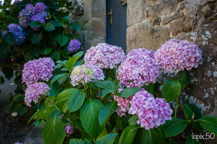 Saint-Goustan-le-charme-dun-port-breton-absolutelyfemme.com-blog-mode-et-lifestyle